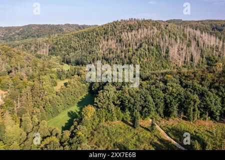 Das Selketal zwischen Meisdorf und Mägdesprung Naturlandschaft Selketalstieg Stockfoto