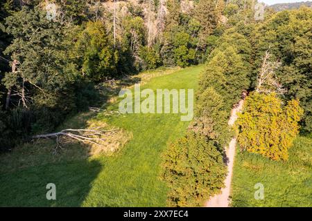 Das Selketal zwischen Meisdorf und Mägdesprung Naturlandschaft Selketalstieg Stockfoto