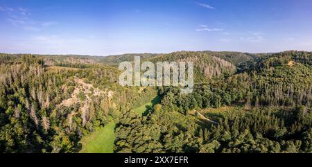 Das Selketal zwischen Meisdorf und Mägdesprung Naturlandschaft Selketalstieg Stockfoto