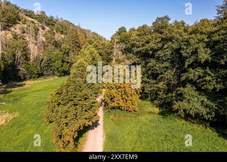 Das Selketal zwischen Meisdorf und Mägdesprung Naturlandschaft Selketalstieg Stockfoto