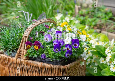Nahaufnahme eines Korbkörpers mit hübschen Blumen in einem Garten neben der blühenden Kerze Stockfoto