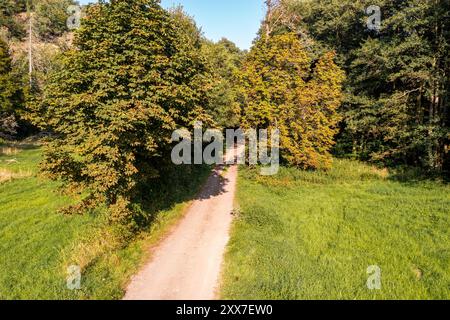 Das Selketal zwischen Meisdorf und Mägdesprung Naturlandschaft Selketalstieg Stockfoto