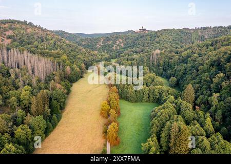 Das Selketal zwischen Meisdorf und Mägdesprung Naturlandschaft Selketalstieg Stockfoto