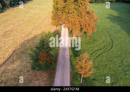 Das Selketal zwischen Meisdorf und Mägdesprung Naturlandschaft Selketalstieg Stockfoto