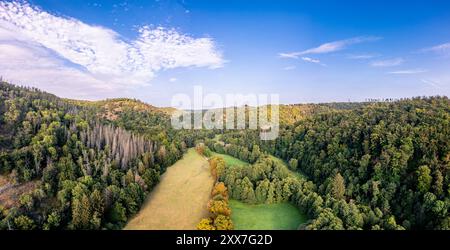 Das Selketal zwischen Meisdorf und Mägdesprung Naturlandschaft Selketalstieg Stockfoto