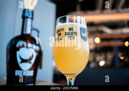 Leeds England: 2. Juni 2024: Ein eiskaltes Craft Beer in einem speziellen Equity-Glas für Punks-Aktionäre in der Leeds BrewDog Bar Stockfoto