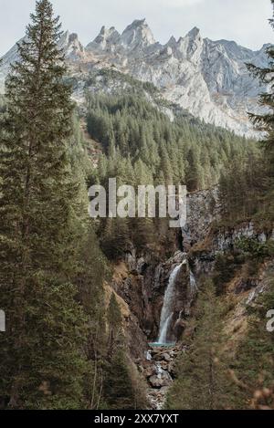 Wasserfall, der durch bewaldete Berge im Rosenlaui Canyon fließt Stockfoto