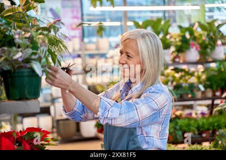 Eine Frau mittleren Alters, die eine Pflanze in einem Kindergarten beschneidet. Sie hat weiße Haare. Stockfoto