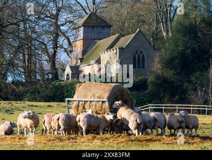 Schafe weiden vor der St. james' Church in Shipton, Shropshire. Stockfoto