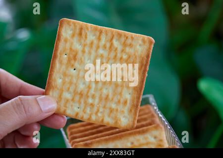 Gekürzte Hand, die zerquetschte trockene Cracker-Kekse hält Stockfoto