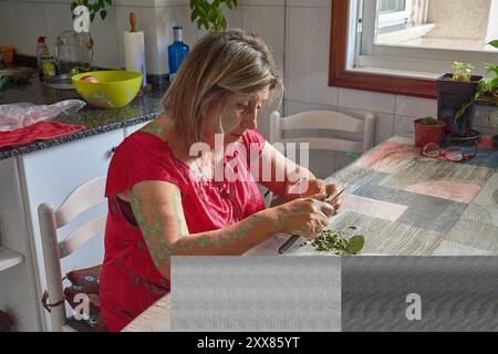 Eine ältere Frau saß an ihrem Küchentisch und Schnitt mit einem Messer vorsichtig grüne Bohnen. Die Szene spiegelt die Einfachheit und den Komfort des täglichen Lebens wider, wh Stockfoto
