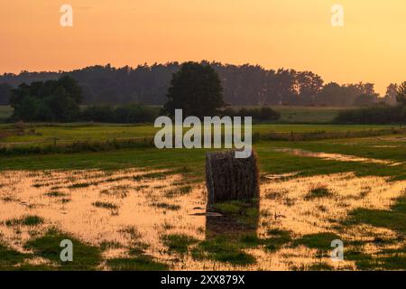 Wunderschöne ländliche Landschaft. Heuballen auf einer feuchten Wiese kurz nach einem Sturm. Goldene Stunde. Pferde in der Ferne. Slajszewo, Polen Stockfoto