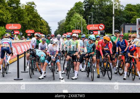 Overijse, Belgien. August 2024. Das Feld, das zu Beginn des eintägigen Radrennens Druivenkoers, 206, 3 km von und nach Overijse, am Freitag, den 23. August 2024, abgebildet wird. BELGA FOTO MARC GOYVAERTS Credit: Belga Nachrichtenagentur/Alamy Live News Stockfoto