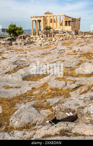 Grèce, Athènes, Ascension de l'acropole, avec vue sur la ville, Théâtre de Dionysos, l'ancien Temple d'Athéna et le Parthénon en travaux Stockfoto