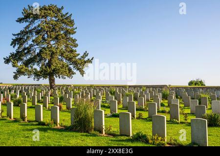 France, Somme, Baie de Somme, Noyelles-sur-mer, nolette, der chinesische Friedhof in Nolette ist die letzte Ruhestätte der chinesischen Zivilarbeiter, die während des Ersten Weltkriegs von der britischen Armee beschäftigt wurden. Mit über 800 Gräbern ist er der größte chinesische Friedhof in Frankreich und Europa. Stockfoto