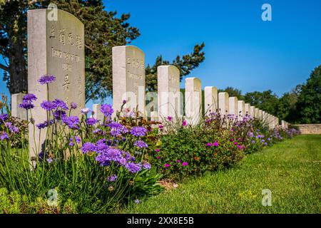 France, Somme, Baie de Somme, Noyelles-sur-mer, nolette, der chinesische Friedhof in Nolette ist die letzte Ruhestätte der chinesischen Zivilarbeiter, die während des Ersten Weltkriegs von der britischen Armee beschäftigt wurden. Mit über 800 Gräbern ist er der größte chinesische Friedhof in Frankreich und Europa. Stockfoto