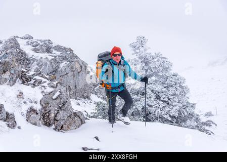 Frankreich, Ain, Jura Massif, regionaler Naturpark, Wanderung Crêt de la Goutte, Wanderer zum Gipfel Stockfoto