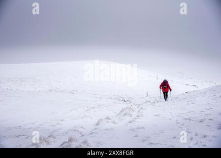 Frankreich, Ain, Jura Massif, regionaler Naturpark, Wanderung Crêt de la Goutte, Wanderer zum Gipfel Stockfoto