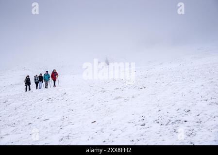 Frankreich, Ain, Jura Massiv, regionaler Naturpark, Wanderung Crêt de la Goutte, Wanderer, die zum Gipfel hinaufsteigen Stockfoto