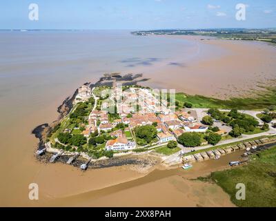 Frankreich, Charente-Maritime, Talmont-sur-Gironde, bezeichnet die schönsten Dörfer Frankreichs, das Dorf am Ufer der Gironde bei Ebbe und Hütten auf Stelzen zum Fischen von Fliesen (aus der Vogelperspektive) Stockfoto