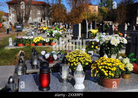 Geschmückte Gräber und Chrysanthemen auf einem Friedhof am Allerheiligen (Wszystkich Swietych) in Polen. Stockfoto