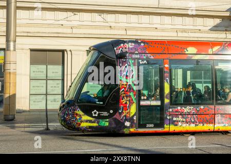 Frankreich, Herault, Montpellier, Bahnhof Montpellier Saint roch und Straßenbahn Stockfoto