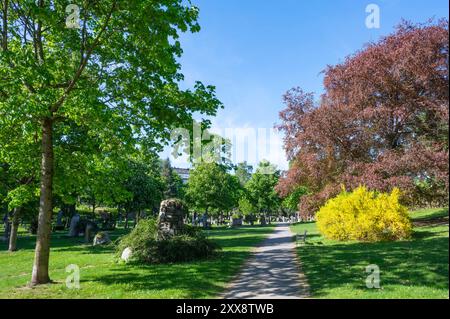 Norwegen, Oslo, St Olaf Plass Gebiet, Var Frelsers Gravlund Friedhof Stockfoto