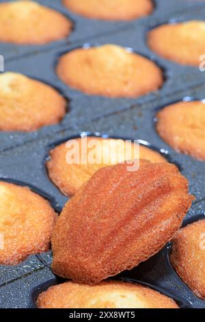 Frankreich, Calvados (14), in der Nähe von Caen, Colombelles, Jeannette Biscuit Factory (gegründet 1850), spezialisiert auf Madeleines (kleine Kuchen in Form einer Muschel oder sogar einer Muschelschale) Stockfoto