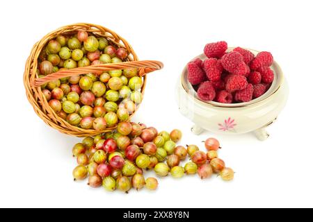 Reife Himbeeren in einer Porzellanschale und Stachelbeeren in einem Korb isoliert. Collage. Stockfoto