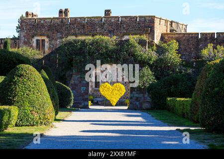 Frankreich, Alpes Maritimes, Mandelieu La Napoule, Schloss La Napoule (12.-19. Jahrhundert), Mimosa Herz Stockfoto