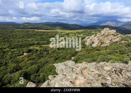Frankreich, Südkorsika, Domaine de Murtoli, Kauria-Plateau Stockfoto