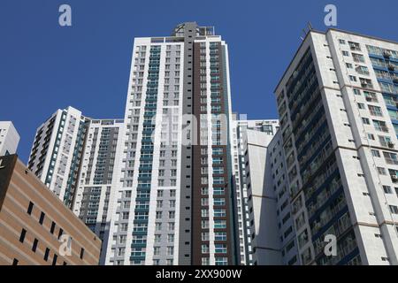 Wohnarchitektur mit hoher Dichte im Stadtteil Sasang-gu in Busan. Große Apartmenthäuser. Stockfoto