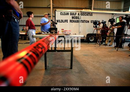 US-Präsident Barack Obama besucht die Gebiete, die von der Ölpest infolge der Deepwater Horizon Explosion betroffen sind. Stockfoto