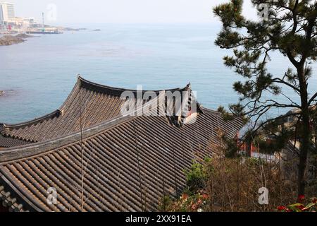 Haedong Yonggungsa Tempel am Meer in Busan, Südkorea. Stockfoto