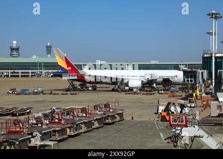 SEOUL, SÜDKOREA - 26. MÄRZ 2023: Asiana Airlines Boeing 777 parkt am Flughafen Seoul Incheon, dem Hauptflughafen Südkoreas. Stockfoto