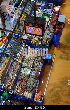 SEOUL, SÜDKOREA - 5. APRIL 2023: Besucher besuchen den Noryangjin Fisheries Wholesale Market in Seoul. Es ist einer der größten Fischmärkte in Korea. Stockfoto