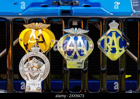 Nahaufnahme von Automobilabzeichen, einschließlich AA- und RAC-Emblemen, die auf dem Kühlergrill eines blauen Oldtimers angebracht sind. Stockfoto