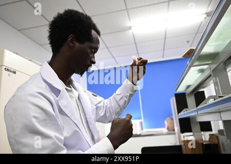 (240823) -- HEFEI, 23. August 2024 (Xinhua) -- Gatera arbeitet am Labor der Anhui Agricultural University in Hefei, ostchinesischer Provinz Anhui, 13. August 2024. Gatera, ein 31-jähriger Ruanda, ist Doktorand an der Landwirtschaftsuniversität Anhui und spezialisiert sich auf Maiszucht. 2019 kam Gatera in Hefei in der Provinz Anhui an, um mit Unterstützung eines chinesischen Staatsstipendiums einen Masterabschluss zu absolvieren und setzte seither sein Doktorstudium an der Universität fort. Während der Sommerferien behielten sich Gatera und seine Klassenkameraden im Labor, indem sie Umfragen beobachteten Stockfoto