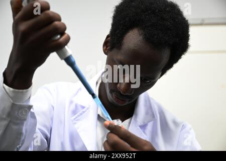 (240823) -- HEFEI, 23. August 2024 (Xinhua) -- Gatera arbeitet am Labor der Anhui Agricultural University in Hefei, ostchinesischer Provinz Anhui, 13. August 2024. Gatera, ein 31-jähriger Ruanda, ist Doktorand an der Landwirtschaftsuniversität Anhui und spezialisiert sich auf Maiszucht. 2019 kam Gatera in Hefei in der Provinz Anhui an, um mit Unterstützung eines chinesischen Staatsstipendiums einen Masterabschluss zu absolvieren und setzte seither sein Doktorstudium an der Universität fort. Während der Sommerferien behielten sich Gatera und seine Klassenkameraden im Labor, indem sie Umfragen beobachteten Stockfoto