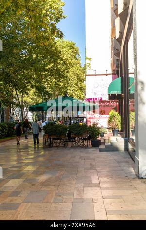 Tiflis, Georgien - 14. August 2024: Straßenblick und traditionelle Architektur in Tiflis, der Hauptstadt Georgiens. Stockfoto