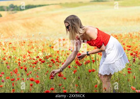 Blonde junge Frau in Sonnenbrille in einem rot-weißen Kleid, die Blumen auf einem Feld mit rotem Mohn pflückt Stockfoto