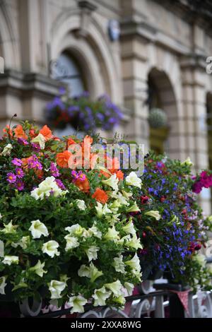 Verkauf von Pflanzen und Blumen Stockfoto