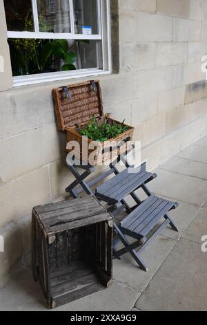 Verkauf von Pflanzen und Blumen Stockfoto