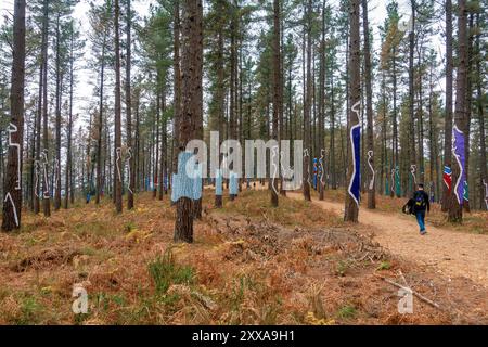 Gemalte Bäume und „Landkunst“ im Bosque de Oma (Oma-Wald) in der Nähe von Kortezubi im Baskenland, Spanien Stockfoto