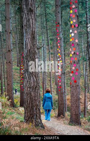 Gemalte Bäume und „Landkunst“ im Bosque de Oma (Oma-Wald) in der Nähe von Kortezubi im Baskenland, Spanien Stockfoto