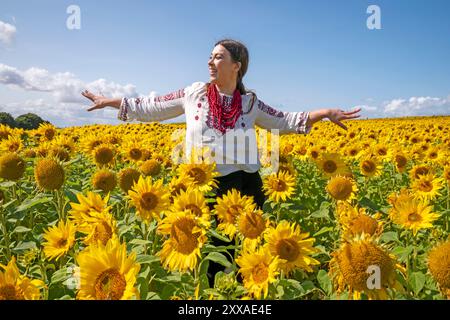 Zhenya Dove, eine Aktivistin und Freiwillige aus Cherson, Ukraine, mit Sitz in Edinburgh, erforscht die Sonnenblumenfelder in Balgone in East Lothian. Die Sonnenblume ist die Nationalblume der Ukraine und ein Symbol des Friedens. Der 24. August ist der Unabhängigkeitstag der Ukraine, an dem Mitglieder der ukrainischen Gemeinschaft zusammenkommen, um der Toten des jüngsten Konflikts zu gedenken und auch den Jahrestag der Unterzeichnung der Unabhängigkeitserklärung im Jahr 1991 zu feiern. Bilddatum: Freitag, 23. August 2024. Stockfoto