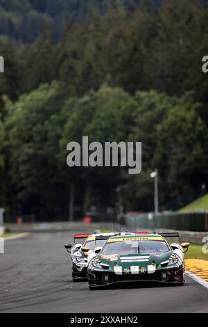 Francorchamps, Belgien, 23. August 2024, #55 Spirit of Race (Che) - Ferrari 296 LMGT3 (LMGT3) - Duncan Cameron (GbR) David Perel (ZAF) Matthew Griffin (IRL) während der vierten Runde des Michelin Le Mans Cup 2024 auf dem Circuit de Spa-Francorchamps (Belgien), am 23. August 2024 - Foto Kristof Vermeulen Photography - Credit Kristof Vermeulen/Alamy Live News Stockfoto