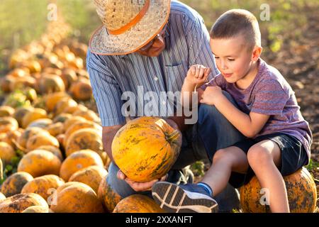 Senior Farmer mit seinem Enkel auf dem Kürbisfeld. Stockfoto