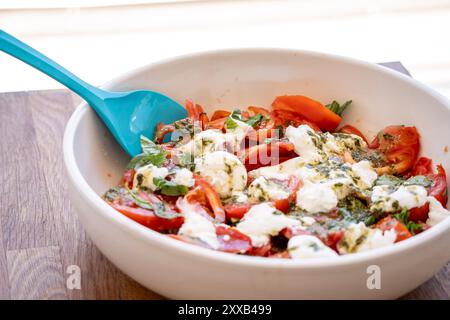 burrata-Käsesalat mit Tomaten und Basilikum, Mallorca, Balearen, Spanien Stockfoto