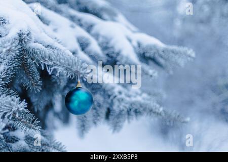 Blaue Weihnachtskugel schmückt den Zweig der Zyantane im Abendpark. Kopierbereich. Stockfoto